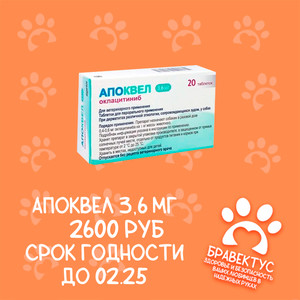 Апоквел 3,6 (20 таб. упаковка) Срок годности до 02.2025 ОГРАНИЧЕННОЕ КОЛИЧЕСТВО