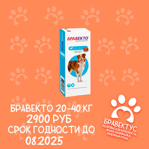 Бравекто 20-40 кг. (1табл/уп) Австрия Срок годности до 08.2025