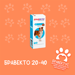 Бравекто 20-40 кг. (1табл/уп) Австрия Срок годности до 2027